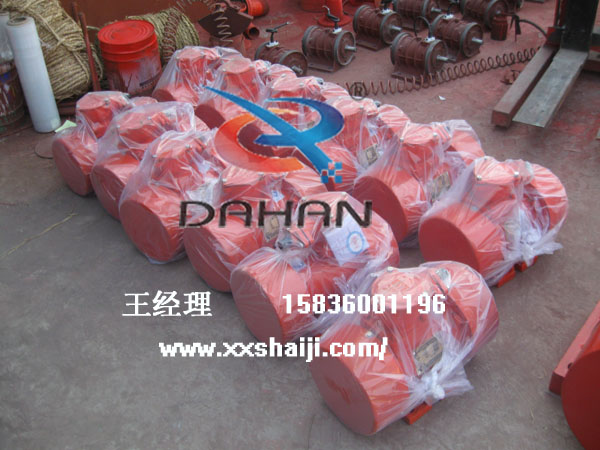 直線(xiàn)振動(dòng)篩振動(dòng)電機(jī)